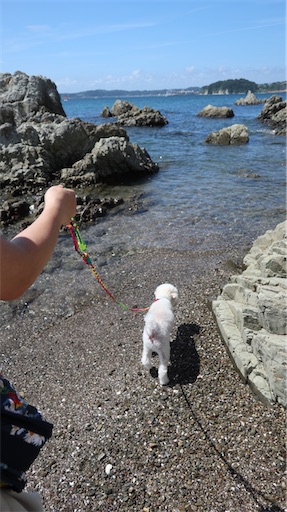 f:id:SHOUTAGO:20220728092553j:image f:id:SHOUTAGO:20220728092553j:image