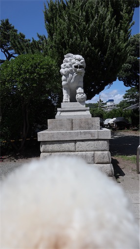f:id:SHOUTAGO:20220728092603j:image f:id:SHOUTAGO:20220728092603j:image