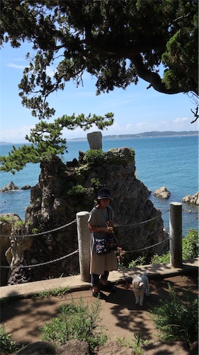 f:id:SHOUTAGO:20220728092622j:image f:id:SHOUTAGO:20220728092622j:image