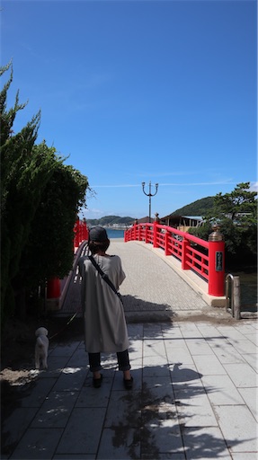 f:id:SHOUTAGO:20220728092626j:image f:id:SHOUTAGO:20220728092626j:image