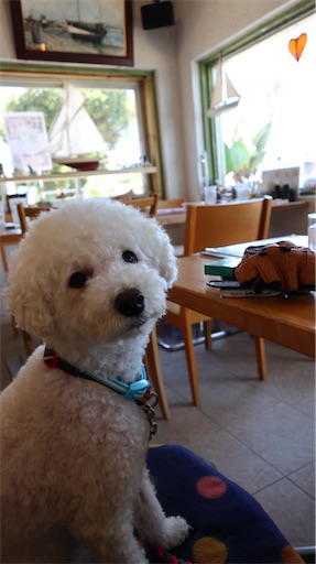 f:id:SHOUTAGO:20220728102727j:image f:id:SHOUTAGO:20220728102727j:image