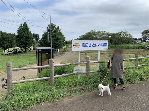f:id:SHOUTAGO:20220822093659j:image f:id:SHOUTAGO:20220822093659j:image