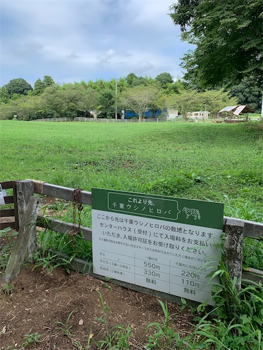f:id:SHOUTAGO:20220822093731j:image f:id:SHOUTAGO:20220822093731j:image
