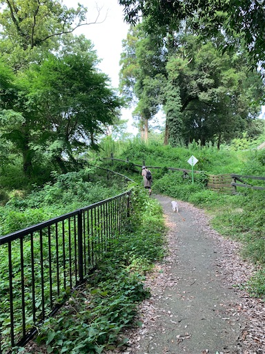 f:id:SHOUTAGO:20220822093743j:image f:id:SHOUTAGO:20220822093743j:image