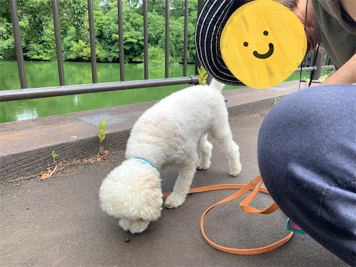 f:id:SHOUTAGO:20220929093910j:image f:id:SHOUTAGO:20220929093910j:image