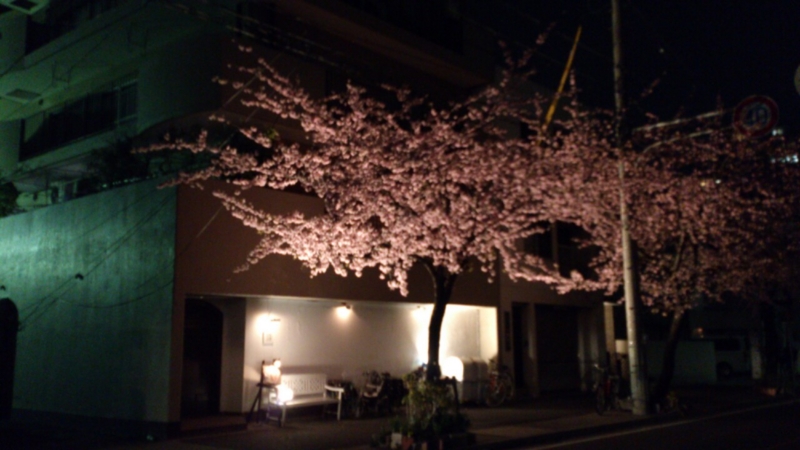 f:id:SHu:20130320111245j:image