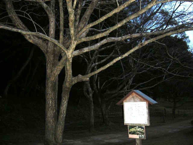 f:id:SIBA:20090417031909j:image