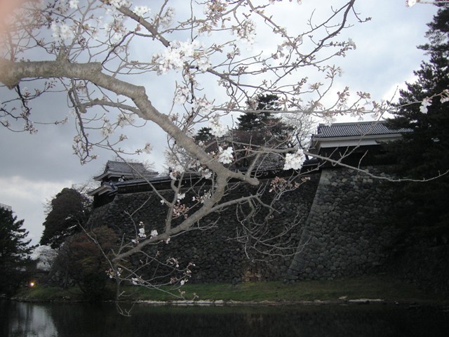 f:id:SIBA:20090417031916j:image