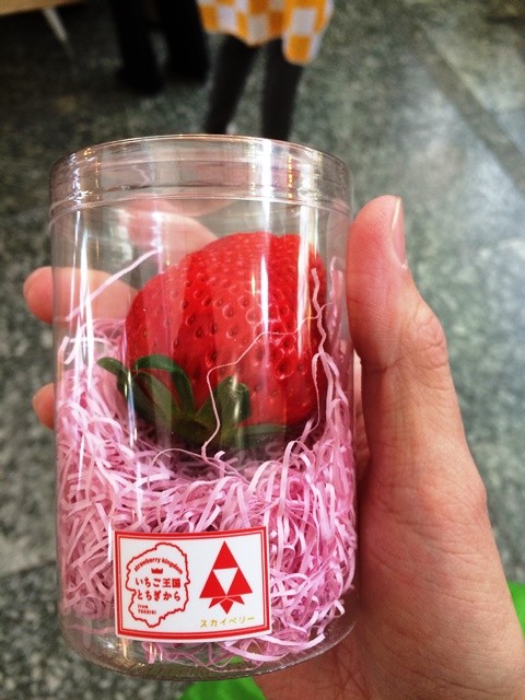 f:id:SIBA:20150501202809j:image
