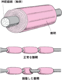 f:id:SIRISIRI:20160926094758g:plain