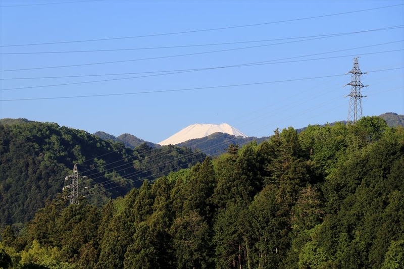 f:id:SISIS:20190509221807j:plain f:id:SISIS:20190509221807j:plain