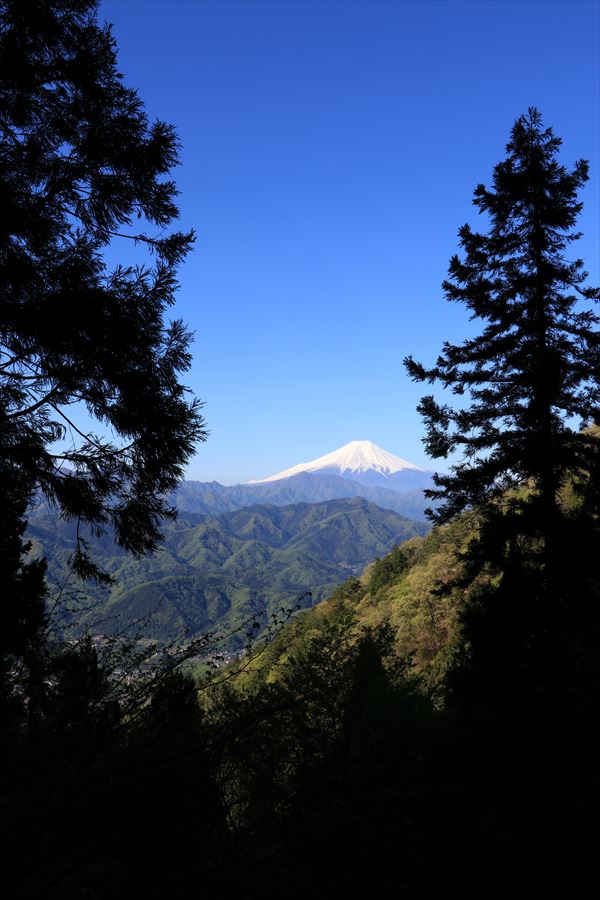 f:id:SISIS:20190509225845j:plain f:id:SISIS:20190509225845j:plain