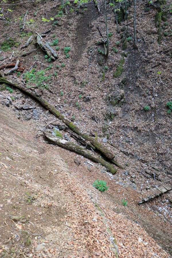 f:id:SISIS:20190509230419j:plain f:id:SISIS:20190509230419j:plain