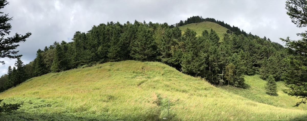 f:id:SISIS:20190927194718j:plain f:id:SISIS:20190927194718j:plain