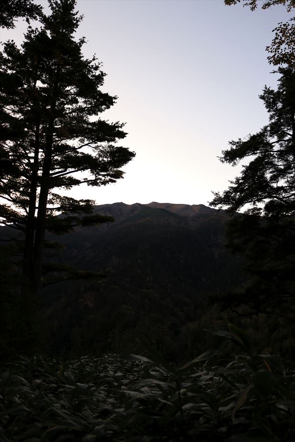 f:id:SISIS:20191014022059j:plain f:id:SISIS:20191014022059j:plain