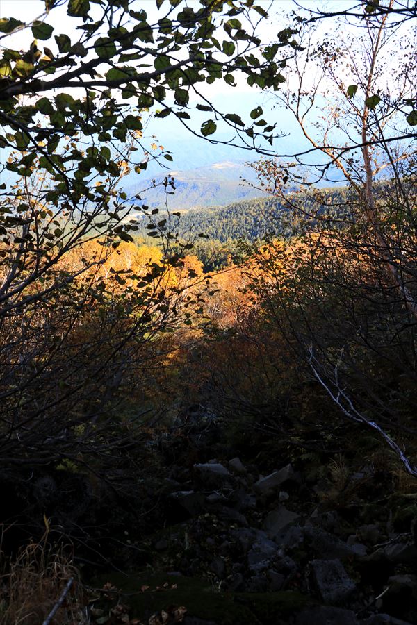 f:id:SISIS:20191014022828j:plain f:id:SISIS:20191014022828j:plain