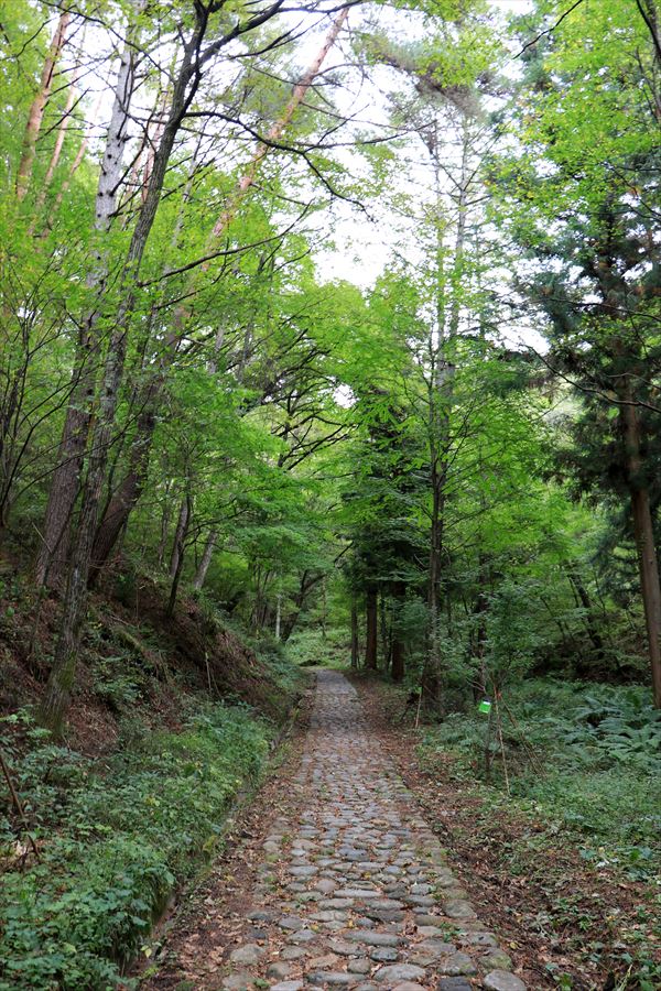 f:id:SISIS:20191014023015j:plain f:id:SISIS:20191014023015j:plain