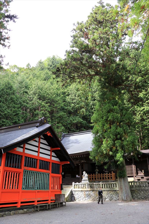 f:id:SISIS:20191014023118j:plain f:id:SISIS:20191014023118j:plain