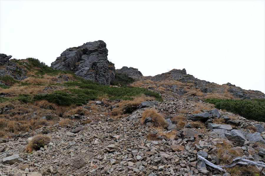 f:id:SISIS:20191023170247j:plain f:id:SISIS:20191023170247j:plain
