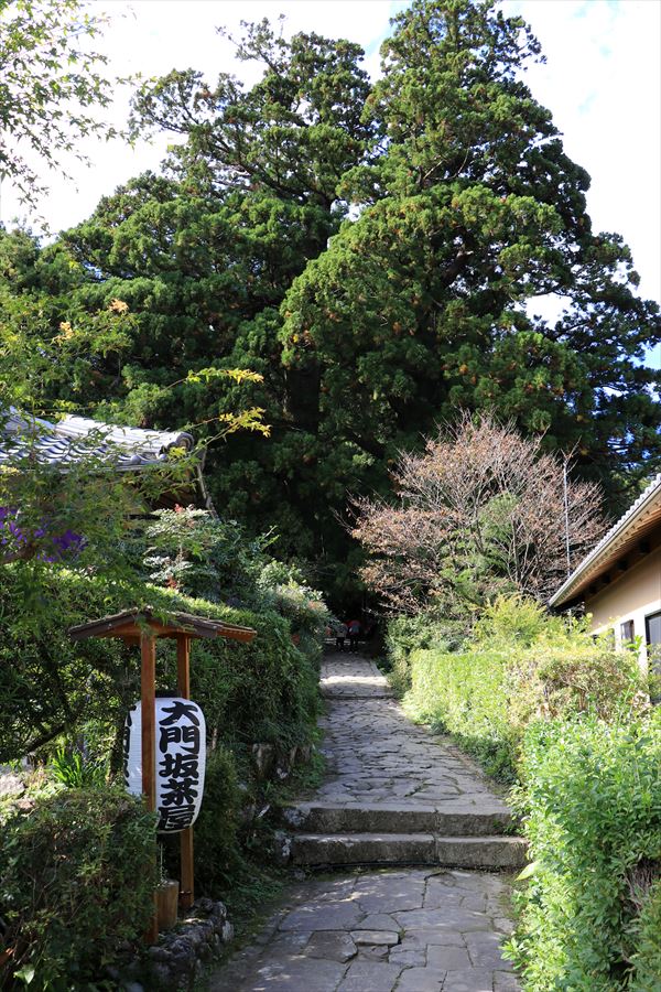 f:id:SISIS:20191128135219j:plain f:id:SISIS:20191128135219j:plain