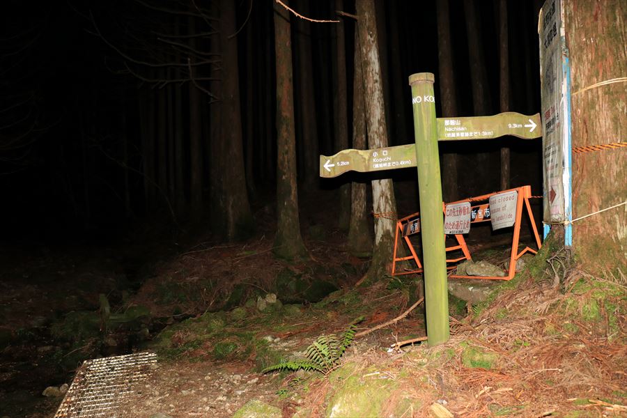 f:id:SISIS:20191129163846j:plain