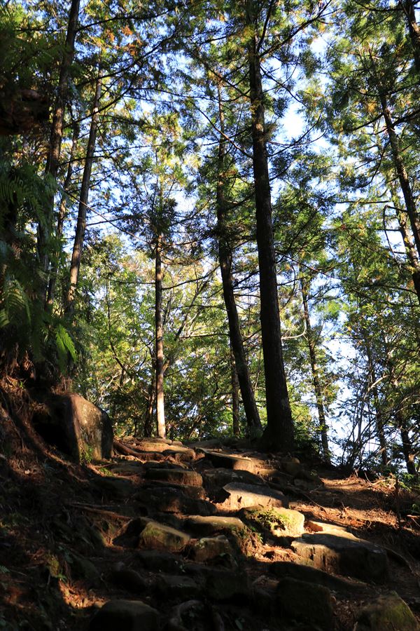 f:id:SISIS:20191129163918j:plain