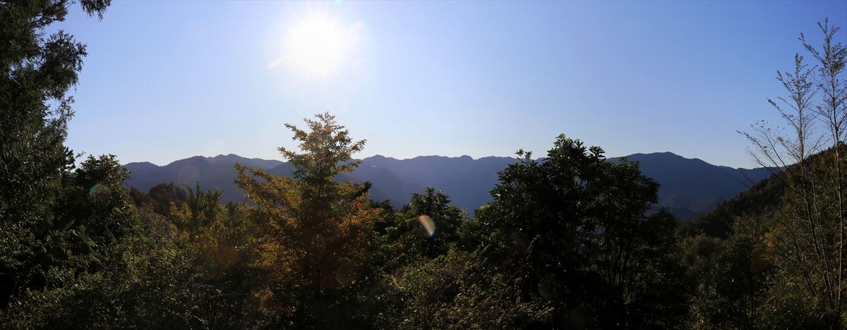 f:id:SISIS:20191129163928j:plain