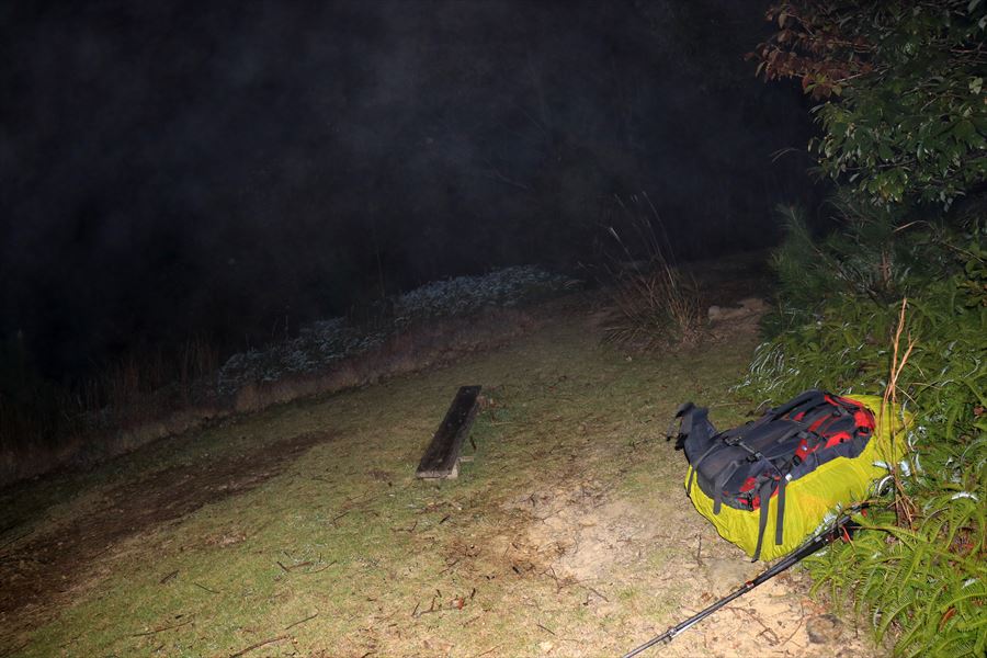 f:id:SISIS:20191130213513j:plain