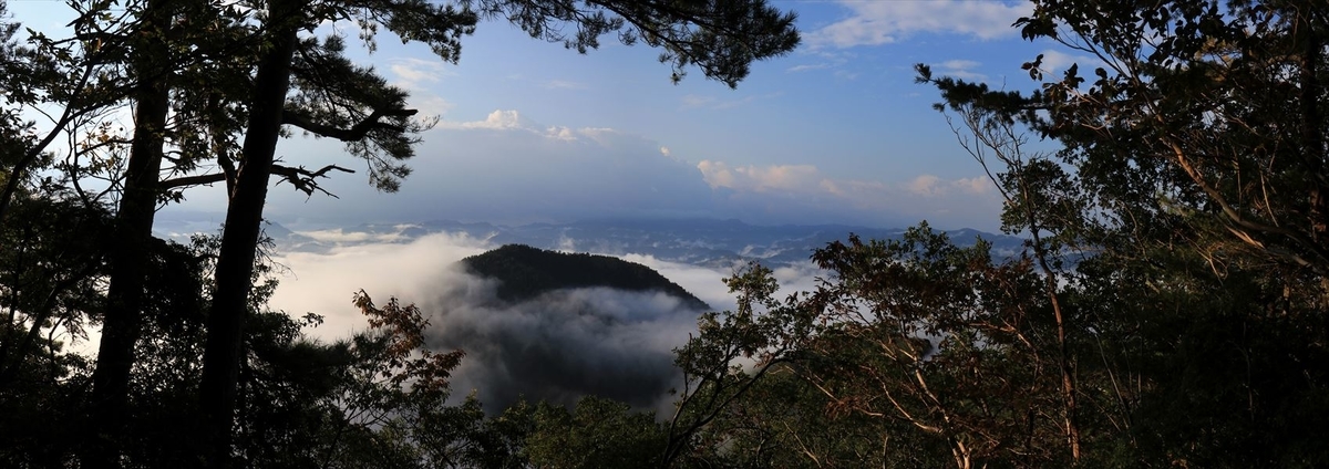 f:id:SISIS:20191130213554j:plain