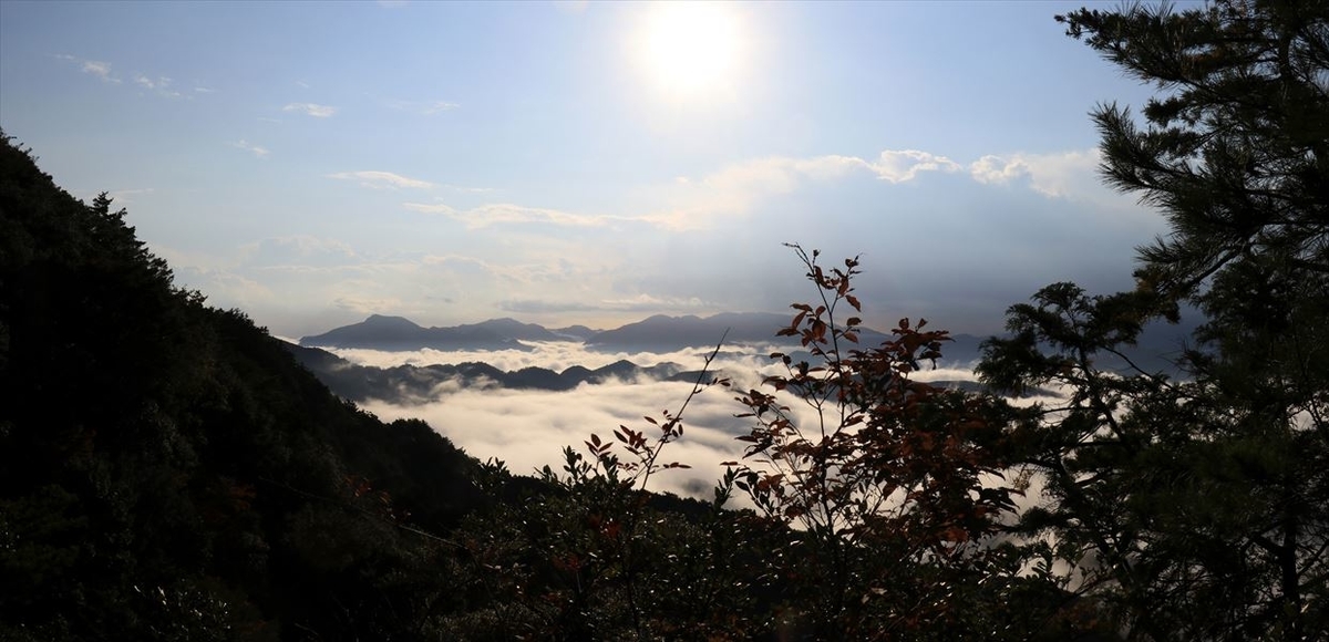 f:id:SISIS:20191130213602j:plain