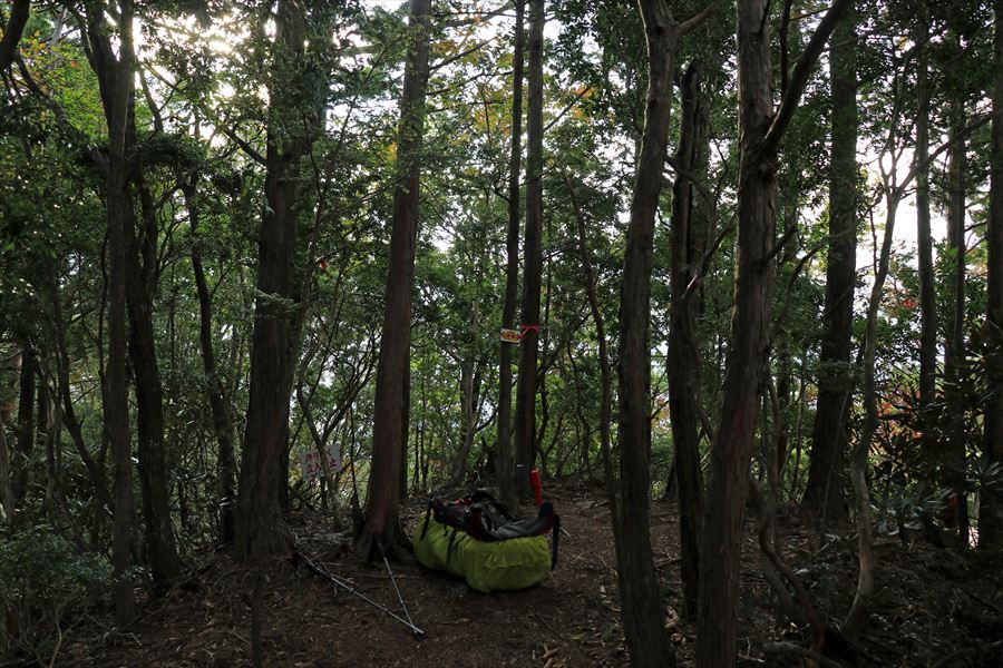 f:id:SISIS:20191130213606j:plain