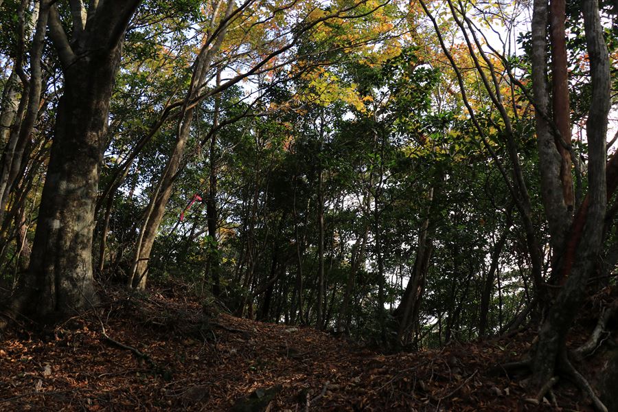 f:id:SISIS:20191130213619j:plain f:id:SISIS:20191130213619j:plain