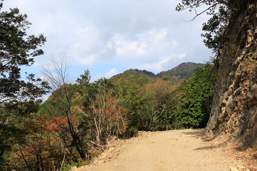 f:id:SISIS:20191130213643j:plain f:id:SISIS:20191130213643j:plain