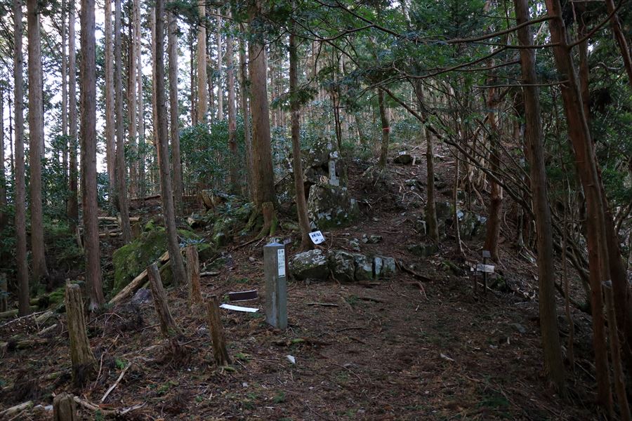 f:id:SISIS:20191130213910j:plain