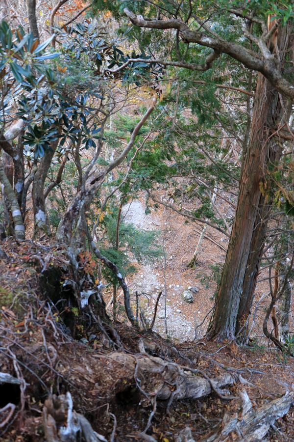f:id:SISIS:20191202002302j:plain f:id:SISIS:20191202002302j:plain