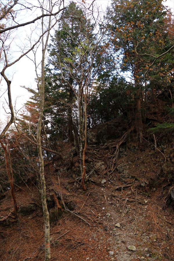 f:id:SISIS:20191202002305j:plain f:id:SISIS:20191202002305j:plain