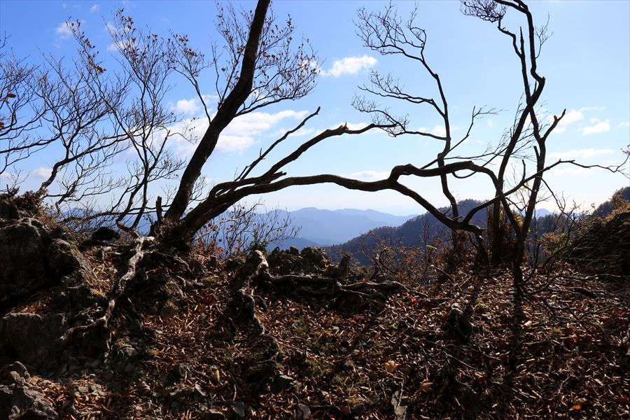 f:id:SISIS:20191202002447j:plain f:id:SISIS:20191202002447j:plain