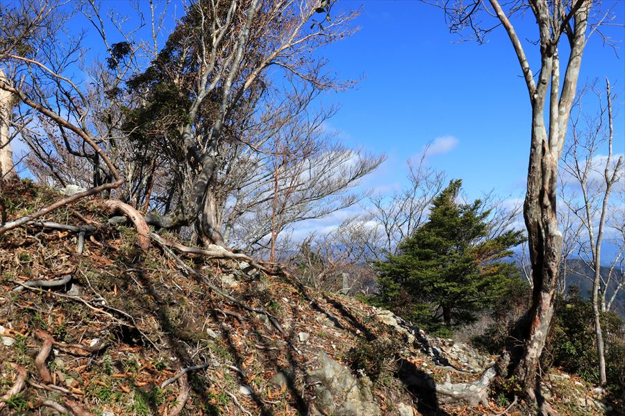 f:id:SISIS:20191202002451j:plain f:id:SISIS:20191202002451j:plain
