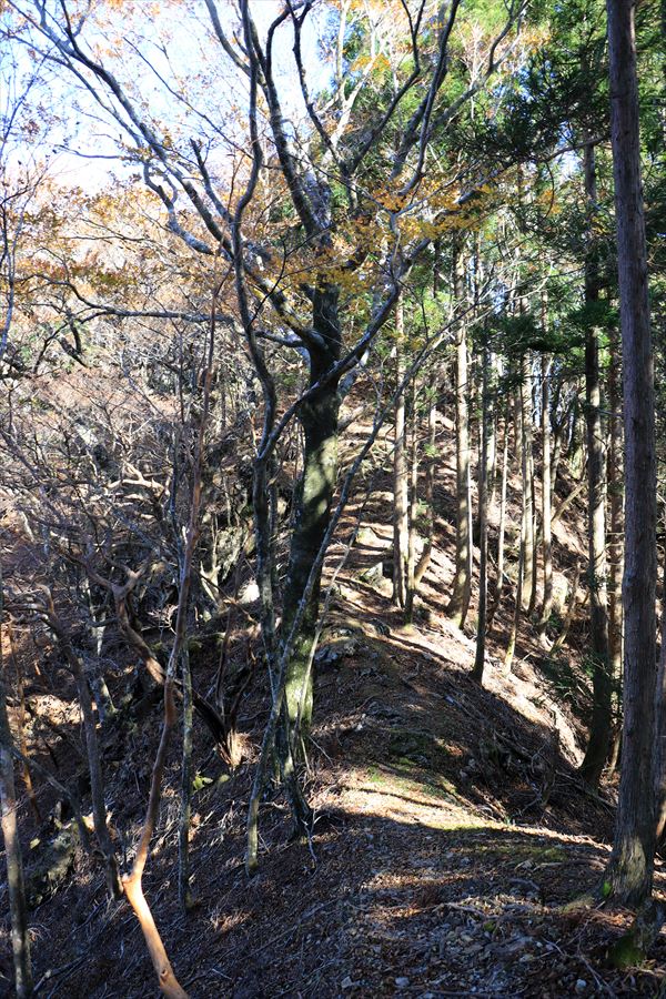 f:id:SISIS:20191202002613j:plain f:id:SISIS:20191202002613j:plain