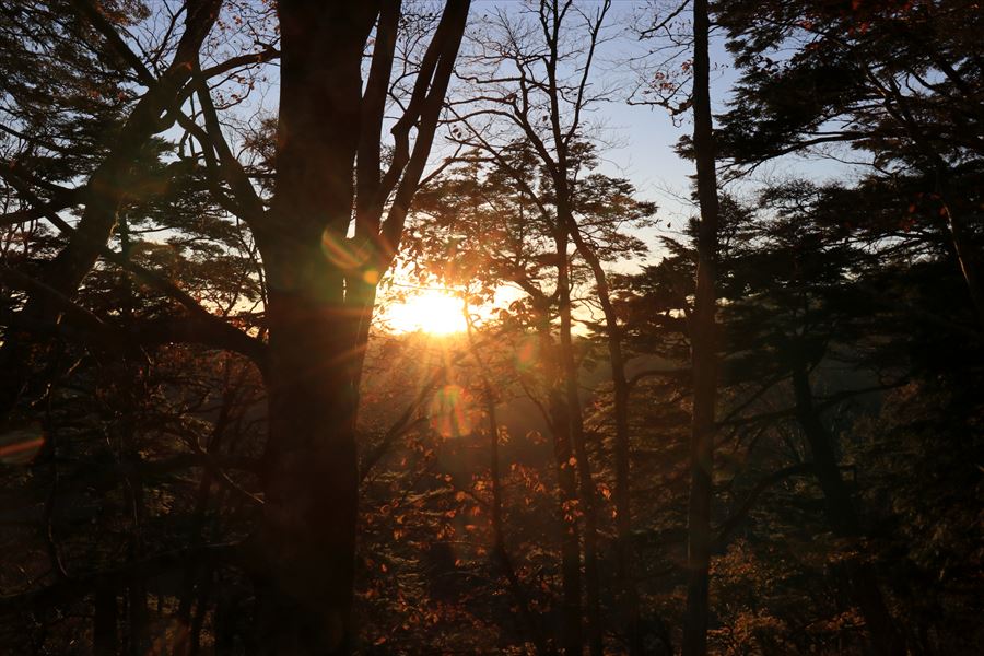 f:id:SISIS:20191202002735j:plain f:id:SISIS:20191202002735j:plain