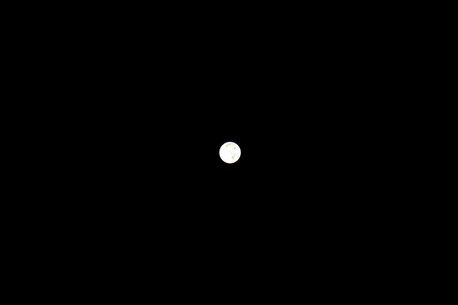 f:id:SISIS:20191203014037j:plain f:id:SISIS:20191203014037j:plain