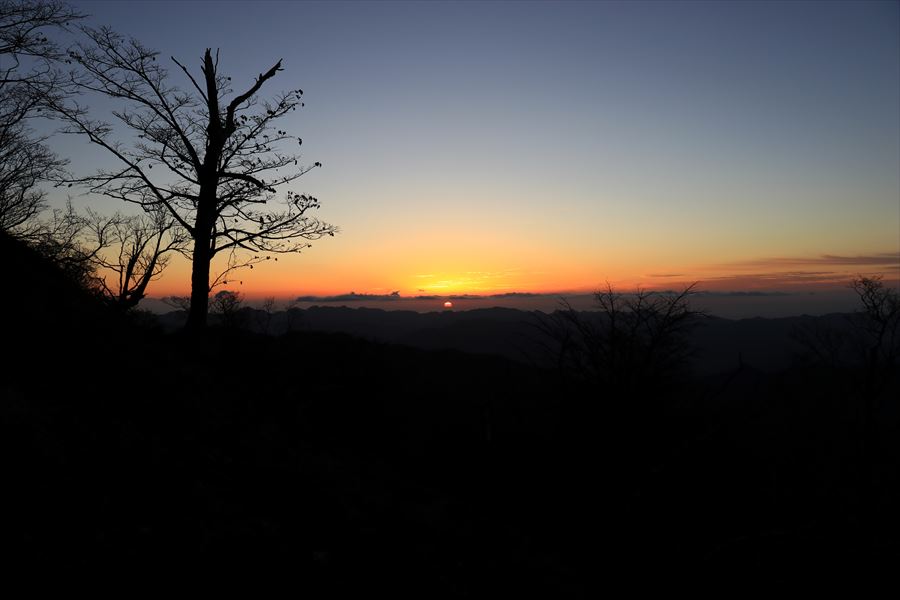 f:id:SISIS:20191203014053j:plain f:id:SISIS:20191203014053j:plain