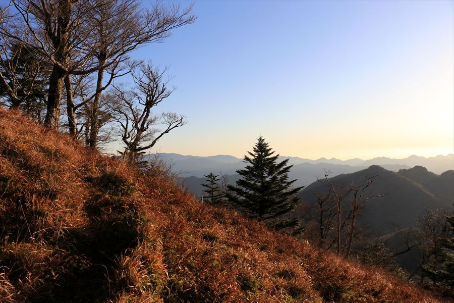 f:id:SISIS:20191203014130j:plain f:id:SISIS:20191203014130j:plain