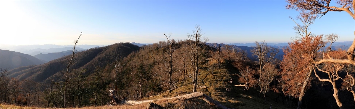 f:id:SISIS:20191203014154j:plain f:id:SISIS:20191203014154j:plain