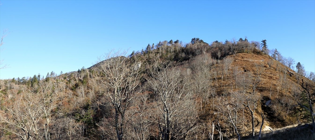 f:id:SISIS:20191203014236j:plain f:id:SISIS:20191203014236j:plain