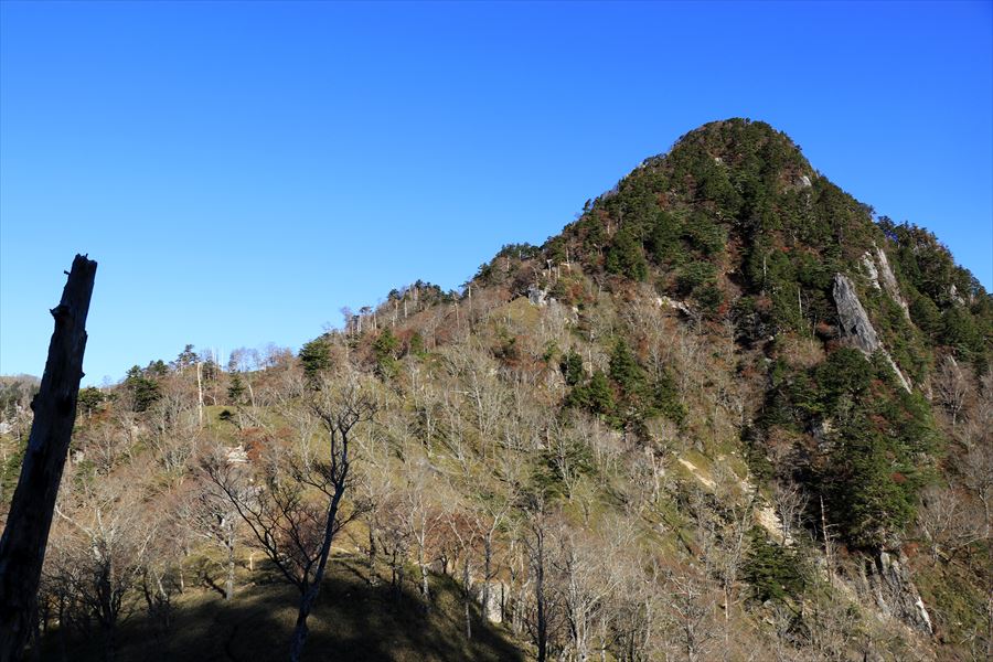 f:id:SISIS:20191203014247j:plain f:id:SISIS:20191203014247j:plain