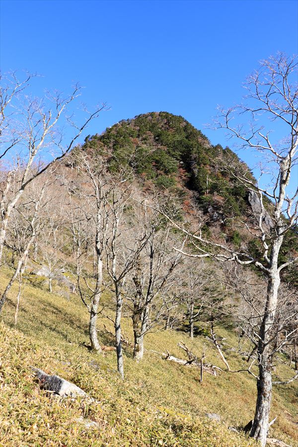 f:id:SISIS:20191203014256j:plain f:id:SISIS:20191203014256j:plain