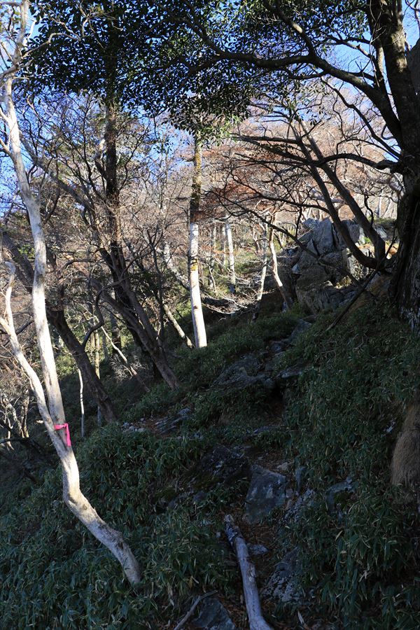 f:id:SISIS:20191203014300j:plain f:id:SISIS:20191203014300j:plain