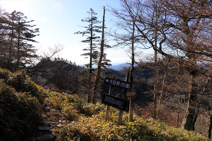 f:id:SISIS:20191203014307j:plain f:id:SISIS:20191203014307j:plain