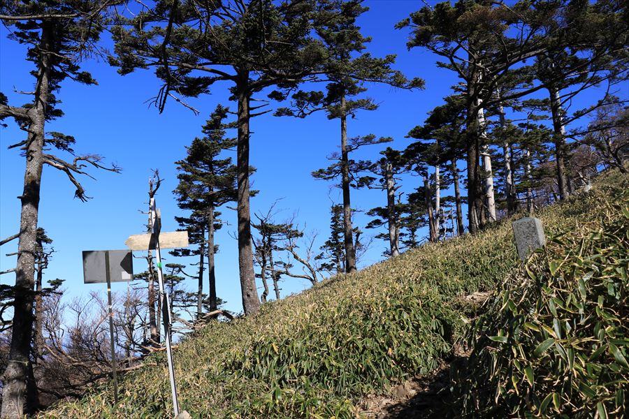 f:id:SISIS:20191203014405j:plain f:id:SISIS:20191203014405j:plain